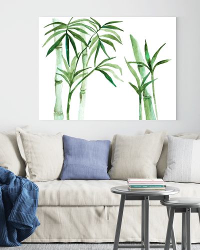 Watercolor bamboo illustration