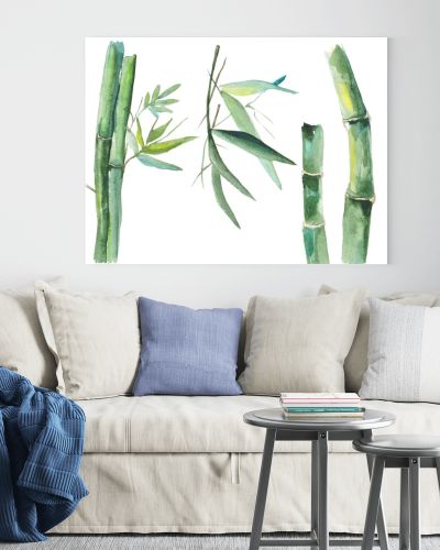 Watercolor bamboo illustration