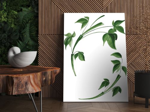 Isolated bamboo leaves on white background