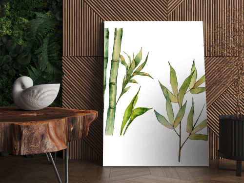 Bamboo tree in a watercolor style isolated.