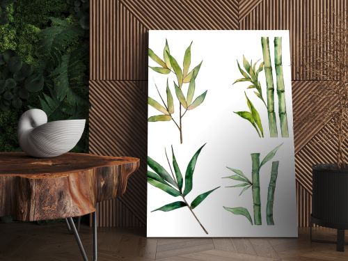 Bamboo tree in a watercolor style isolated.