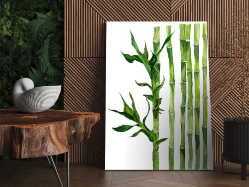 Bamboo illustration of watercolor isolated on white background