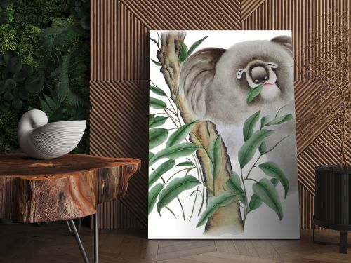 The watercolor shows a cute koala on a eucalyptus branch, she's eats leaves. Illustration executed in chinese style, isolated on white background.