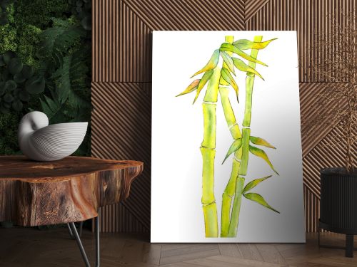 Bamboo Green leaves and steam. Watercolor background illustration set. Isolated bamboo illustration element.