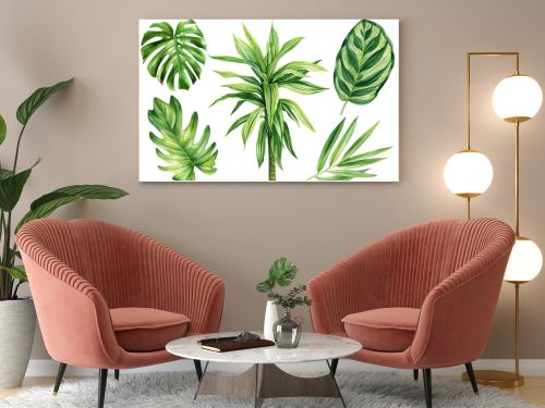 Tropical leaves set. Palms, Dracaena and monstera. Tropical plant, isolated white background, Watercolor illustration. High quality illustration