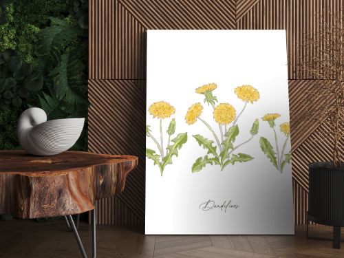 Dandelions spring wildflower botanical hand drawn vector illustration set 