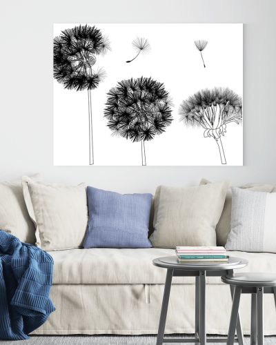 black dandelions