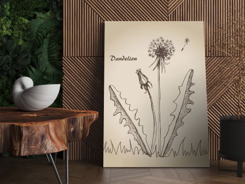 Dandelion sketch 3