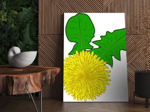 Dandelions flower vector illustration on a white background