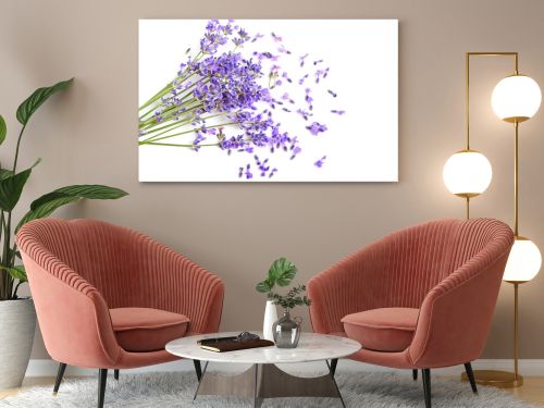 Fresh lavender