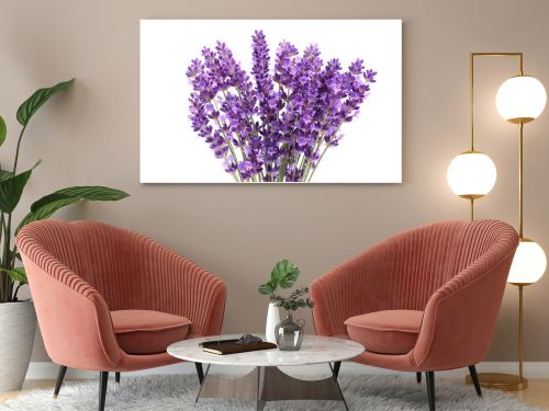 Lavender flowers against white background. Isolated object.