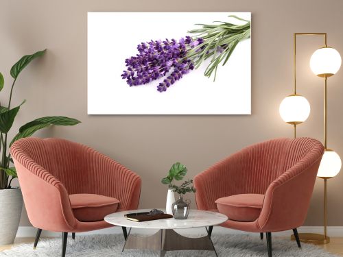 Bouquet of lavender  on a white  background.