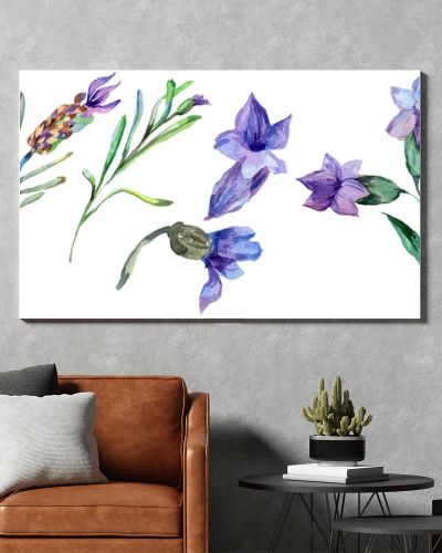 Purple lavender flowers. Wild spring wildflowers isolated on white. Hand drawn lavender flowers in aquarelle. Watercolor background illustration.