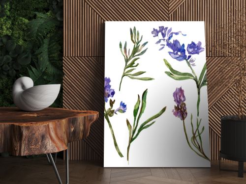 Purple lavender flowers. Wild spring wildflowers isolated on white. Hand drawn lavender flowers in aquarelle. Watercolor background illustration.