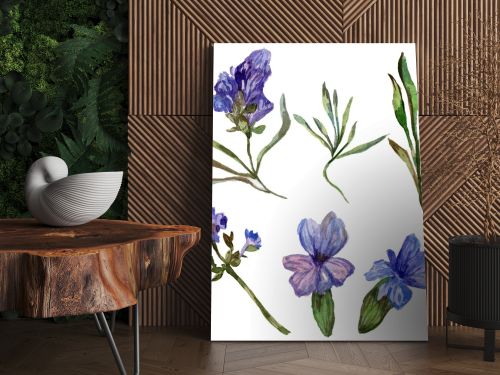 Purple lavender flowers. Wild spring wildflowers isolated on white. Hand drawn lavender flowers in aquarelle. Watercolor background illustration.
