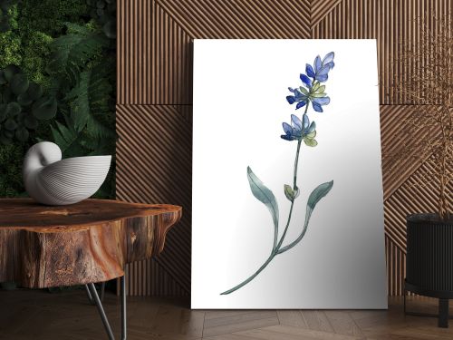 Purple isolated  lavender flowers. Watercolor illustration elements.