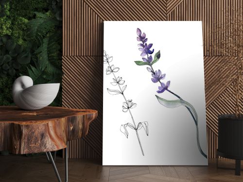 Purple isolated  lavender flowers. Watercolor illustration elements.