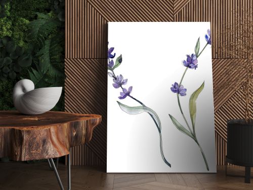 Purple isolated  lavender flowers. Watercolor illustration elements.