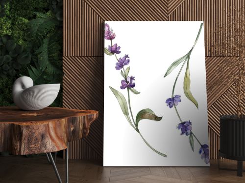 Purple isolated  lavender flowers. Watercolor illustration elements.
