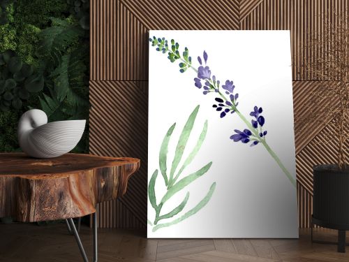 Violet lavender floral botanical flower. Watercolor background illustration set. Isolated lavender illustration element.