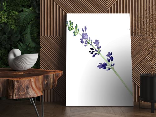 Violet lavender floral botanical flower. Watercolor background illustration set. Isolated lavender illustration element.