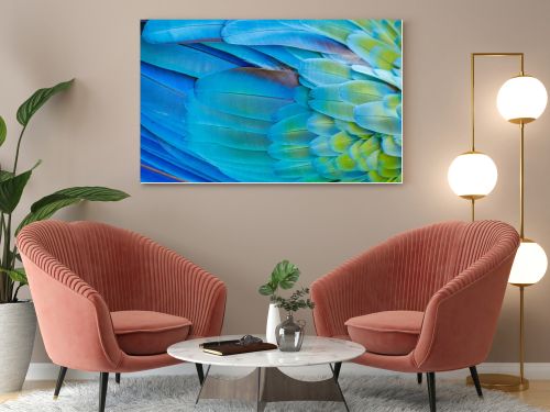 Plumage pattern of Macaw parrot feathers close-up