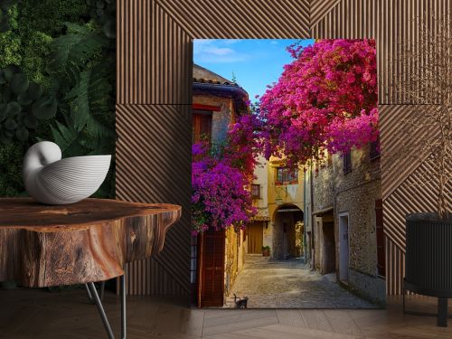 art beautiful old town of Provence