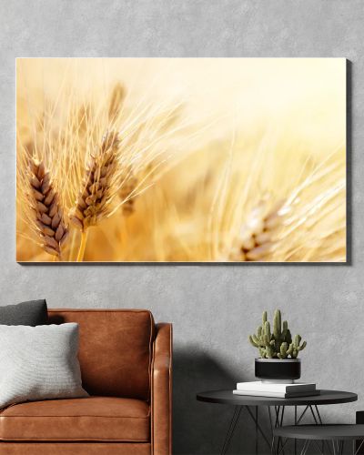 Wheat field