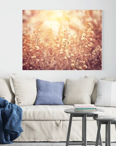 Beautiful floral field
