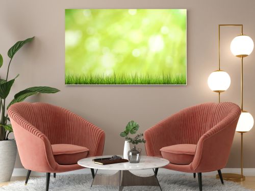 green grass and sunlight