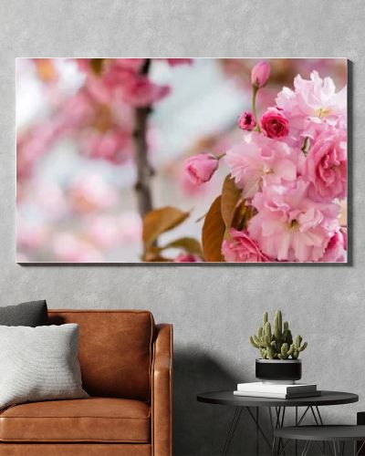 close up of blooming flowers on twig of cherry tree, banner