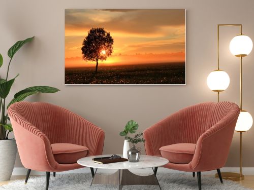 The sheaf of hay at dawn, Novgorod region ,Russia