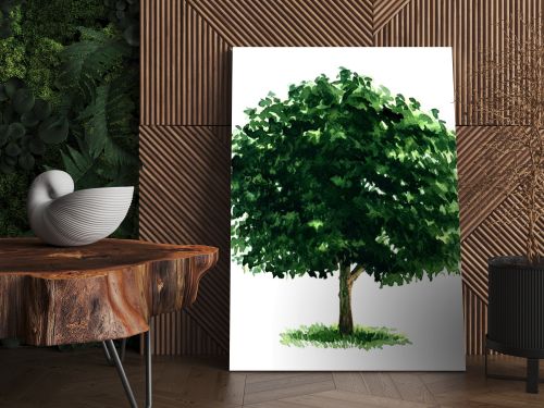 Beautiful fresh green deciduous tree isolated on white background