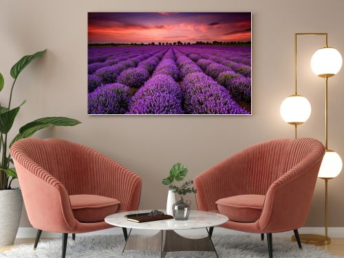 Lavender sunset