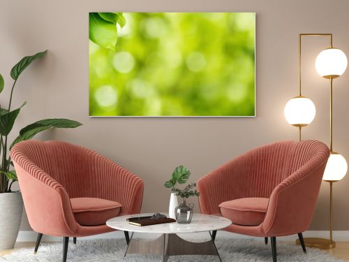 Green Nature Background