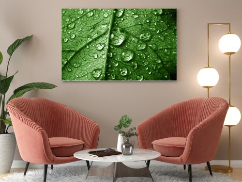 Photo Of Close Up Leaf With Water Drops