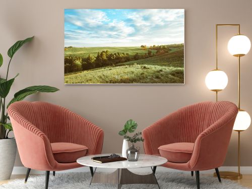 Green Grass Field Landscape with fantastic clouds in the background