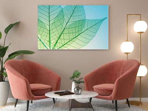 green leaves meridians