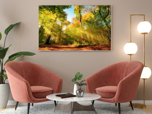 Colorful autumn forest landscape with warm sun rays illumining the foliage and a path leading through the trees