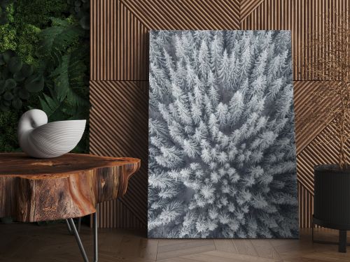 Winter landscape from air. Forest as a background