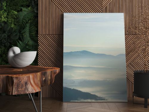 scenic view of snowy mountains with pine trees in white fluffy clouds