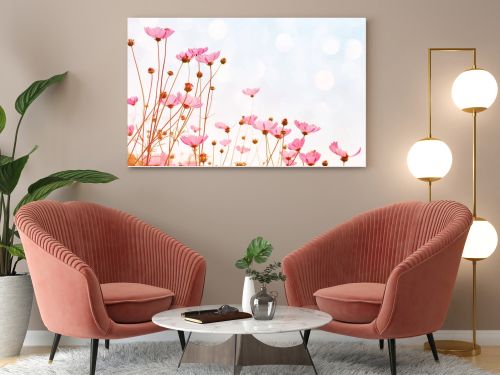 Flower background with pink wild flowers against the background of the sky, soft focus, bottom view, toned.