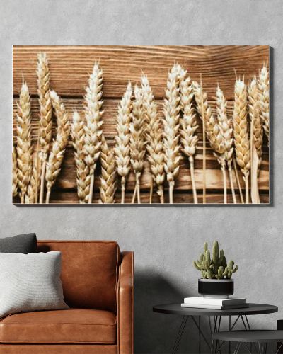 top view of wheat ears on wooden background, panoramic shot