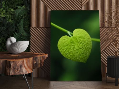 Heart shaped leaf on blurred green background