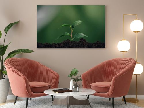 close up of young green plant in ground on blurred background, earth day concept