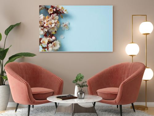 top view of tree branch with blossoming spring flowers on blue background