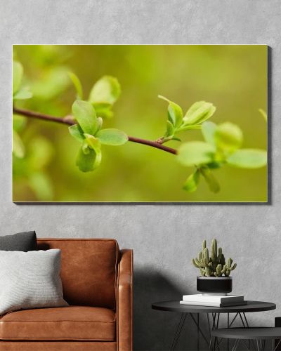 panoramic shot of green leaves on tree branch in springtime