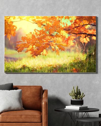 Autumn landscape. Fall. Bright colorful leaves on oak in autumnal park