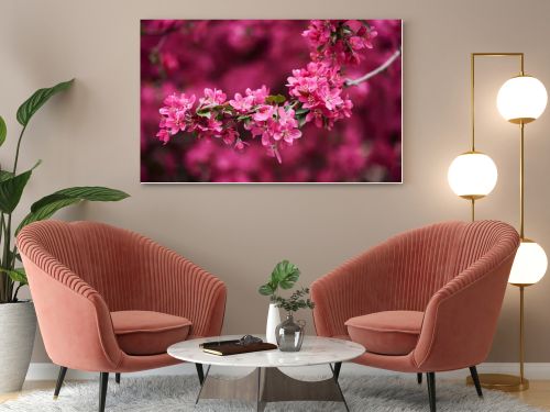 close-up view of beautiful bright pink almond flowers on branch 