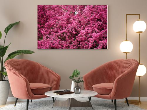 beautiful bright pink almond flowers on branches